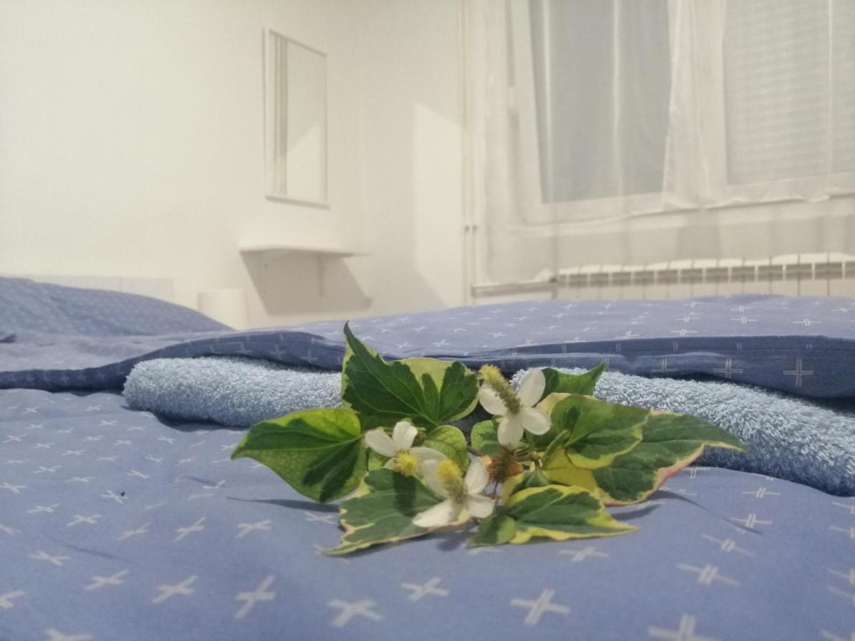 Apartman Nana ยาโกดินา ภายนอก รูปภาพ
